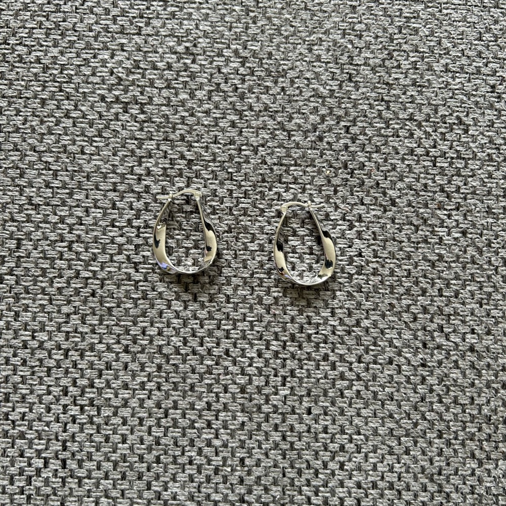 Elegant Silver Hoop Earrings